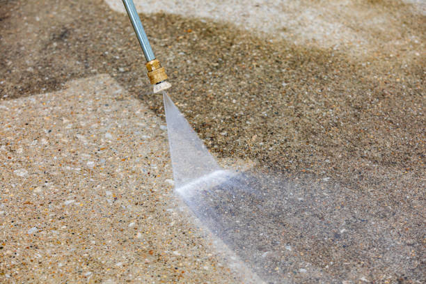 Best Animal Enclosure Cleaning  in Weleetka, OK